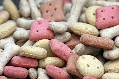 10 Best Dog Treats Without BHA: Our 2026 Rankings